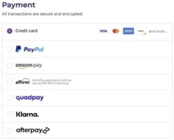 multiple BNPL payment options