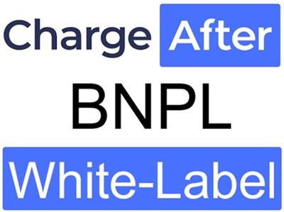 BNPL (Buy Now, Pay Later)